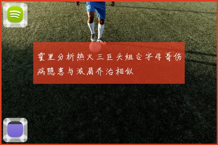 霍里分析热火三巨头组合字母哥伤病隐患与浓眉乔治相似