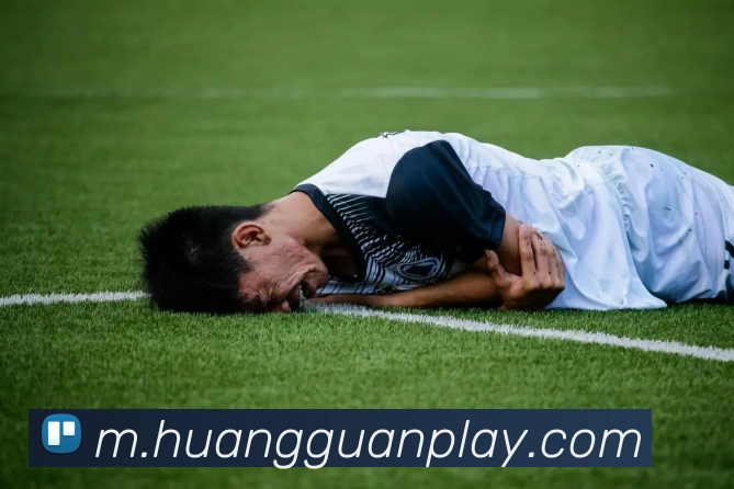 多媒体互动体验